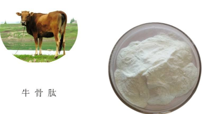 PG电子·麻将胡了官方网站解技术助力牛骨PG电子·麻将胡了官方网站解呈味肽品质升级