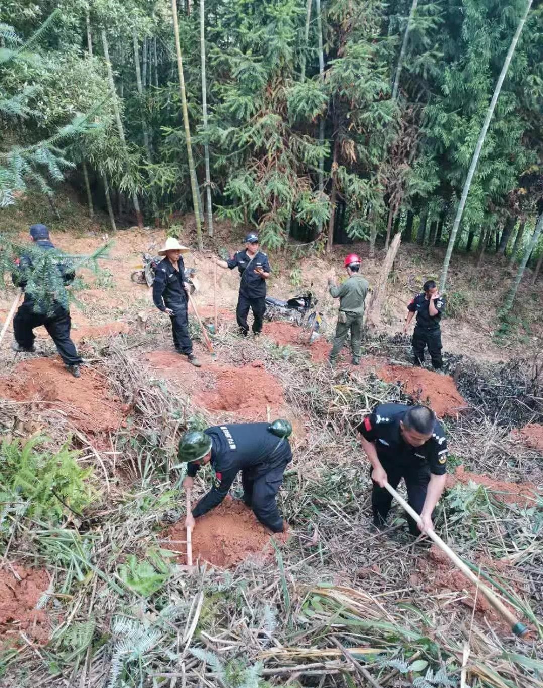 干好每一天|青山挂白我复绿，无私奉献PG电子·麻将胡了官方网站人——资源保护部义务突击队工作记实