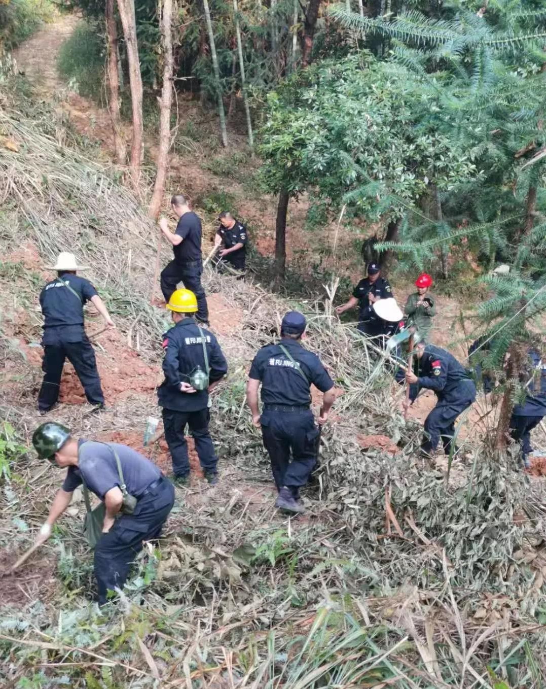 干好每一天|青山挂白我复绿，无私奉献PG电子·麻将胡了官方网站人——资源保护部义务突击队工作记实