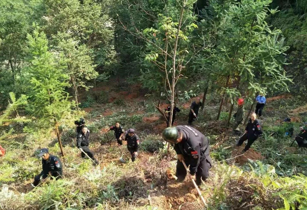 干好每一天|青山挂白我复绿，无私奉献PG电子·麻将胡了官方网站人——资源保护部义务突击队工作记实