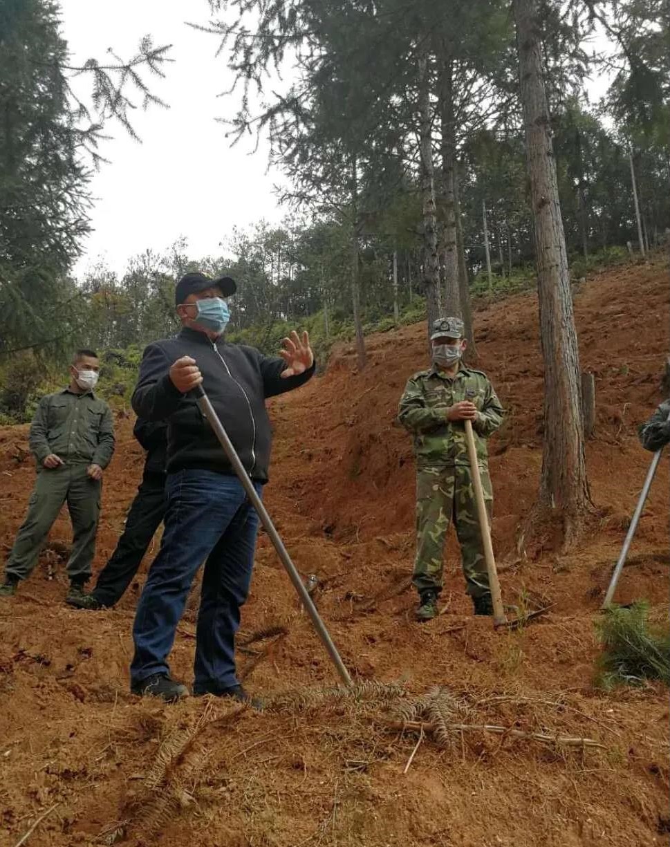 青山挂白我复绿 防疫复工添色彩 ——资源保护部义务突击队工作纪实