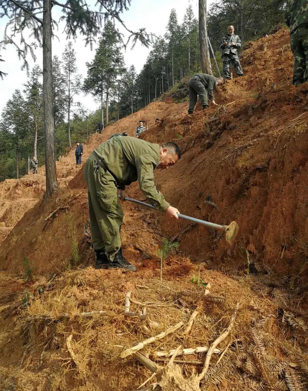 青山挂白我复绿 防疫复工添色彩 ——资源保护部义务突击队工作纪实