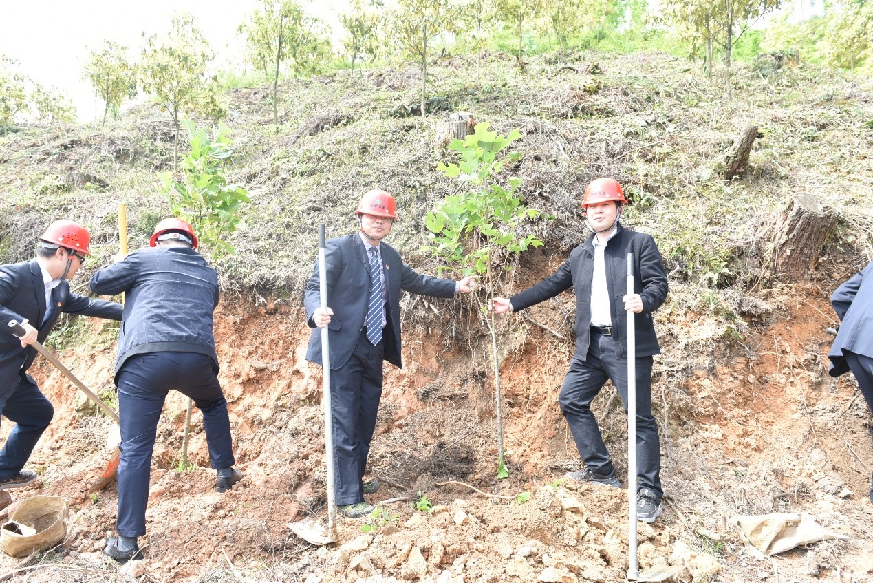 “守护绿水青山，共助乡村振兴” ——农发行沙县支行与福建PG电子·麻将胡了官方网站党总支开展共建活动