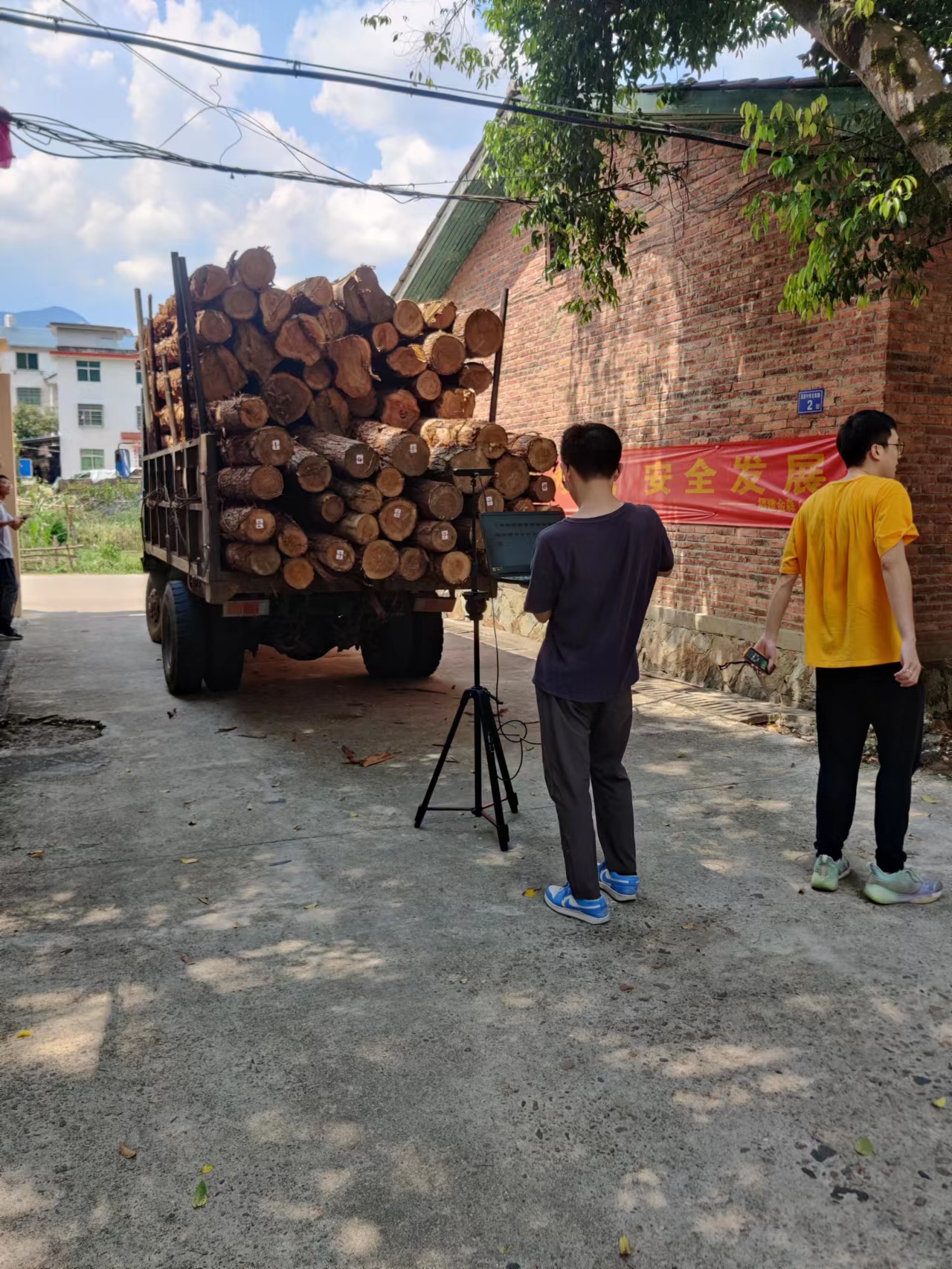 福建PG电子·麻将胡了官方网站木材仓储智能管理系统项目顺利通过验收