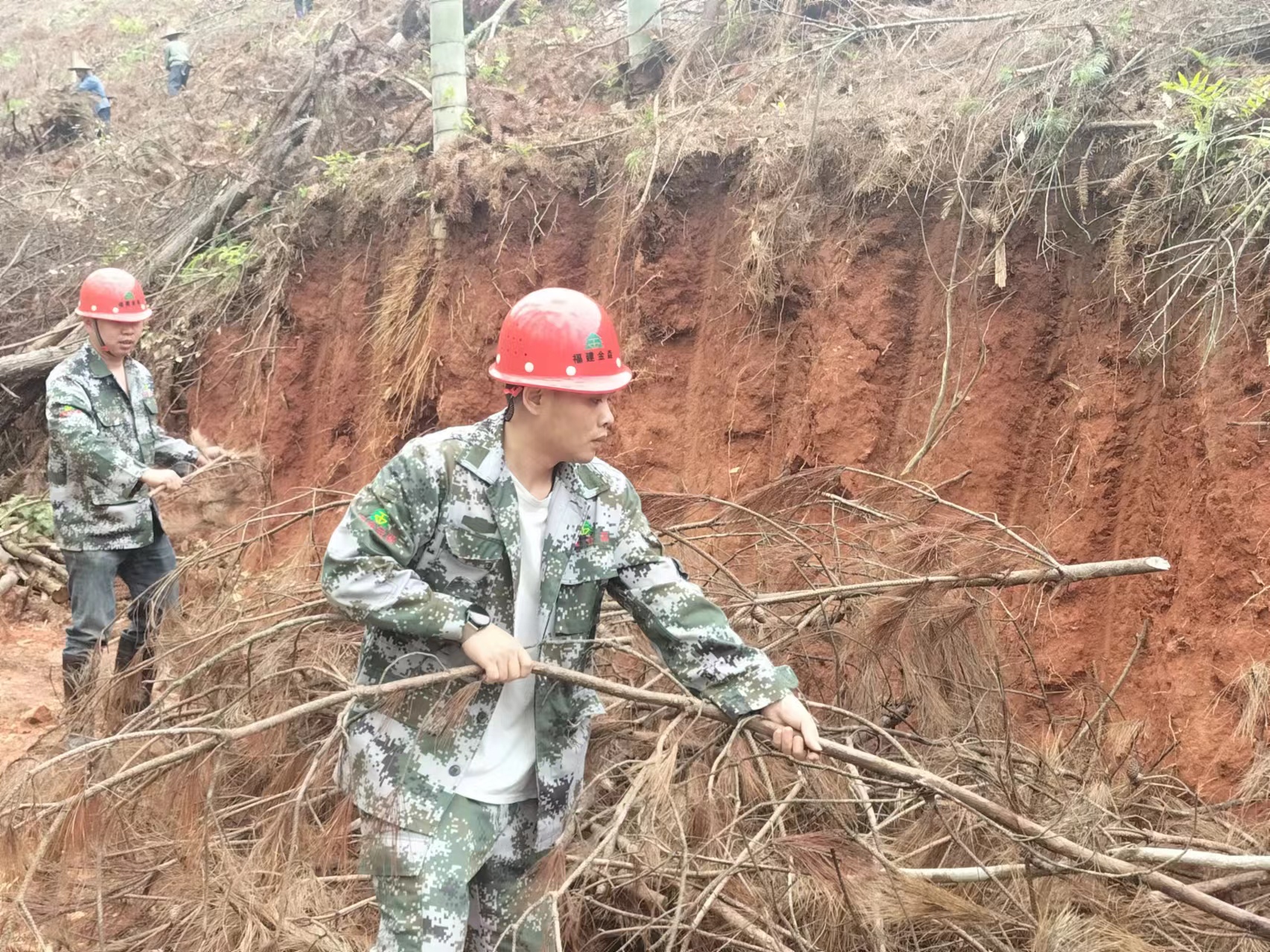  “百日鏖战” 齐心协力谱写产销新篇 ----福建PG电子·麻将胡了官方网站木材产销百日攻坚行动